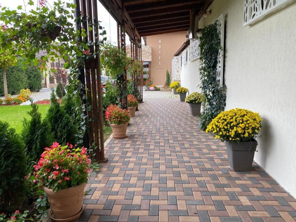Hotel Yarus Ploieşti Extérieur photo