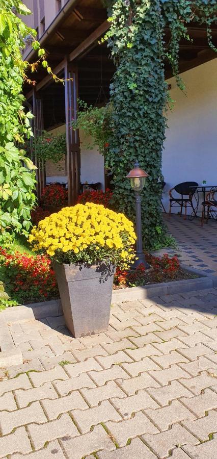 Hotel Yarus Ploieşti Extérieur photo